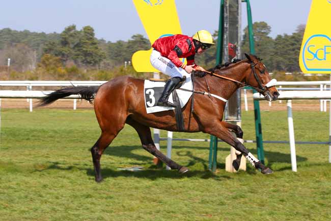 Photo d'arrivée de la course pmu PRIX DE LA ROUTE RONDE à FONTAINEBLEAU le Vendredi 25 mars 2022