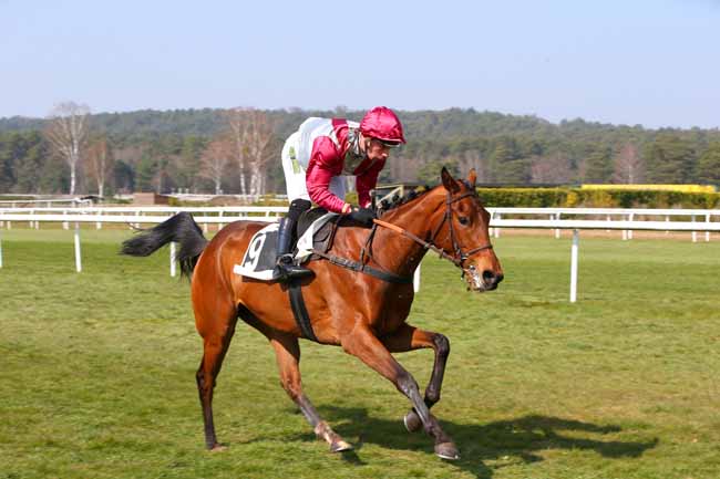 Photo d'arrivée de la course pmu PRIX DE LA TILLAIE à FONTAINEBLEAU le Vendredi 25 mars 2022