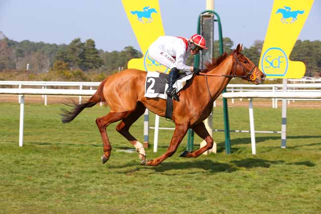 Photo d'arrivée de la course pmu PRIX DE SERMAISE à FONTAINEBLEAU le Vendredi 25 mars 2022