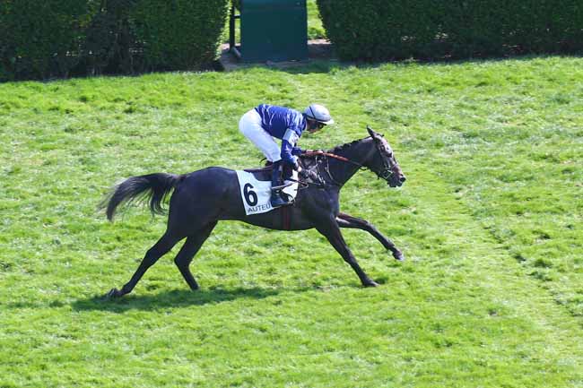 Photo d'arrivée de la course pmu PRIX LE TOUQUET à AUTEUIL le Dimanche 27 mars 2022