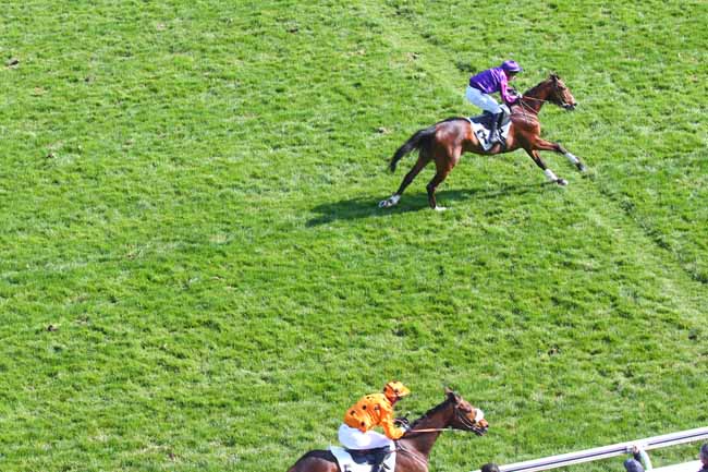 Photo d'arrivée de la course pmu PRIX HUBERT DE NAVAILLES à AUTEUIL le Dimanche 27 mars 2022