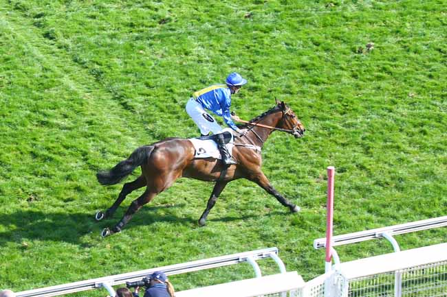 Photo d'arrivée de la course pmu PRIX ALCIDE à AUTEUIL le Dimanche 27 mars 2022