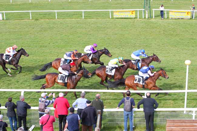 Photo d'arrivée de la course pmu PRIX DES BARNOLETS à FONTAINEBLEAU le Lundi 28 mars 2022