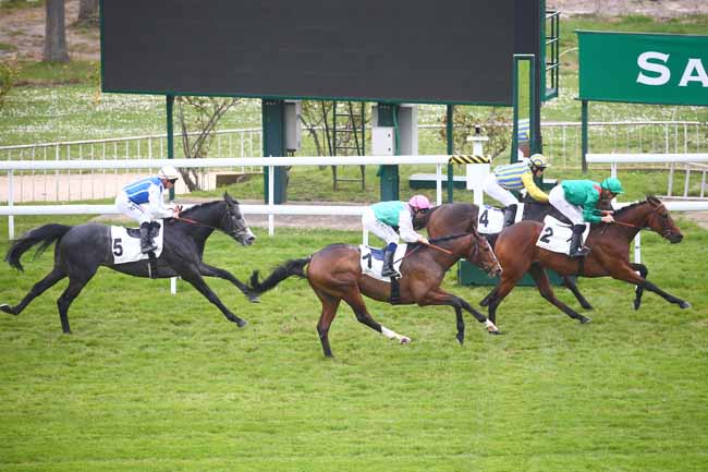 Photo d'arrivée de la course pmu PRIX COMRADE à SAINT CLOUD le Mardi 29 mars 2022