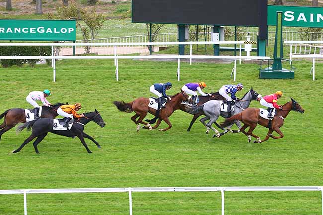 Photo d'arrivée de la course pmu PRIX BANGO à SAINT CLOUD le Mardi 29 mars 2022