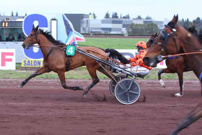 Photo d'arrivée de la course pmu PRIX CONSEIL DEPARTEMENTAL BOUCHES DU RHONE à SALON DE PROVENCE le Mercredi 30 mars 2022