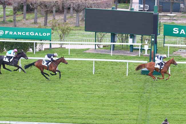 Photo d'arrivée de la course pmu PRIX BASSE POINTE à SAINT CLOUD le Samedi 2 avril 2022