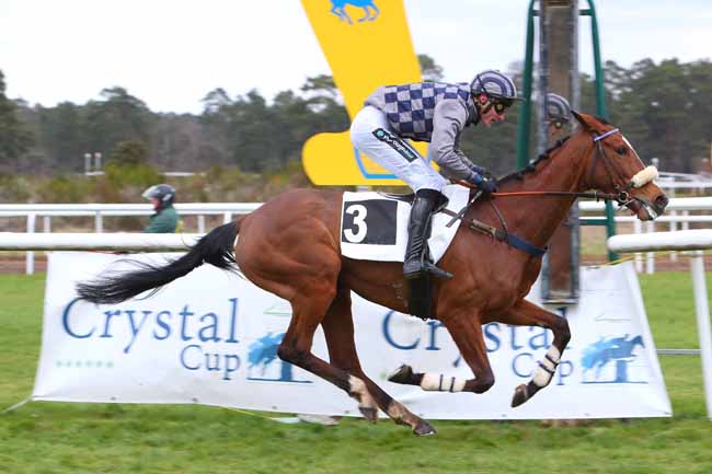 Photo d'arrivée de la course pmu PRIX KADALKO - BERNARD SECLY (PRIX LA CROIX DE ST HEREM) à FONTAINEBLEAU le Samedi 2 avril 2022
