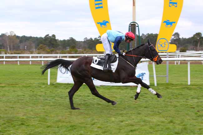 Photo d'arrivée de la course pmu PRIX DE LA MARE AUX COULEUVRES à FONTAINEBLEAU le Samedi 2 avril 2022