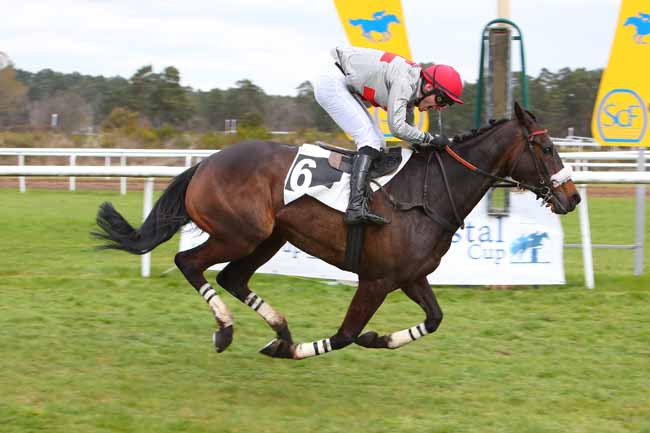 Photo d'arrivée de la course pmu GRAND STEEPLE-CHASE CROSS-COUNTRY DE FONTAINEBLEAU à FONTAINEBLEAU le Samedi 2 avril 2022