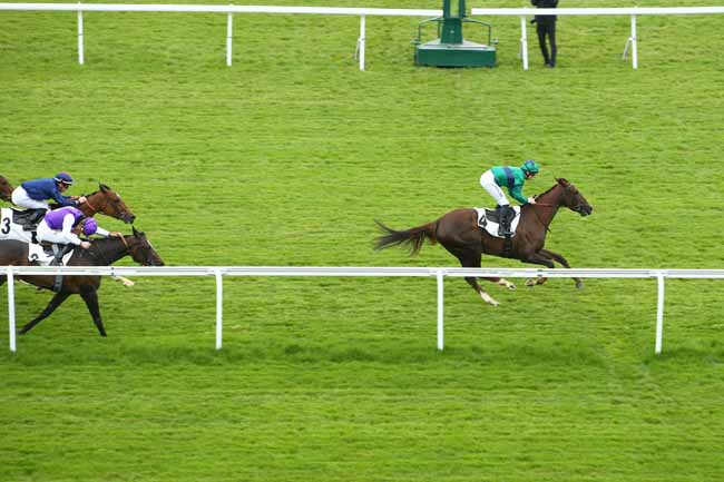 Photo d'arrivée de la course pmu PRIX DURBAN à SAINT CLOUD le Mardi 5 avril 2022
