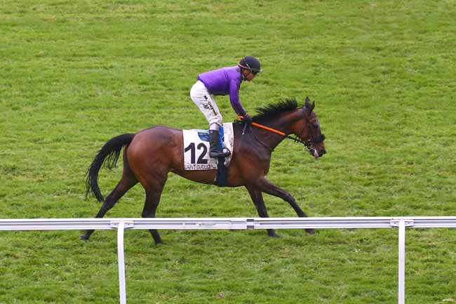 Photo d'arrivée de la course pmu PRIX DE VILLIERS-SAINT-FREDERIC à SAINT CLOUD le Vendredi 8 avril 2022