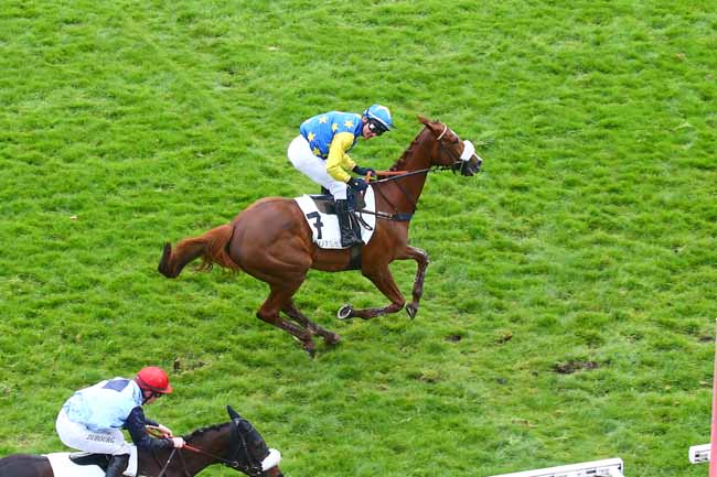 Photo d'arrivée de la course pmu PRIX DE PEPINVAST à AUTEUIL le Samedi 9 avril 2022