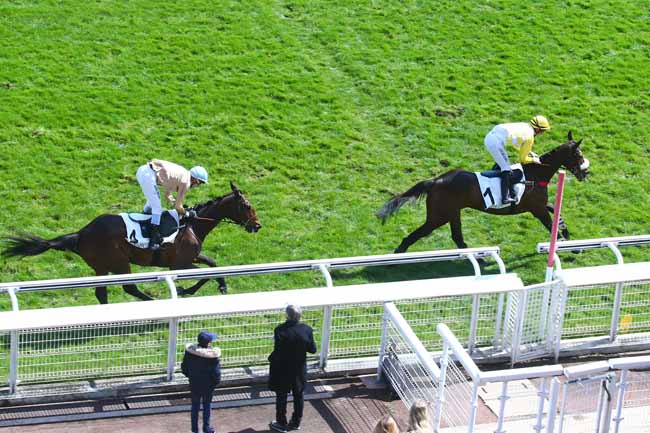 Photo d'arrivée de la course pmu PRIX ALAIN GRIMAUX à AUTEUIL le Samedi 9 avril 2022