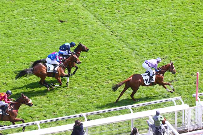 Photo d'arrivée de la course pmu PRIX JEAN GRANEL à AUTEUIL le Samedi 9 avril 2022