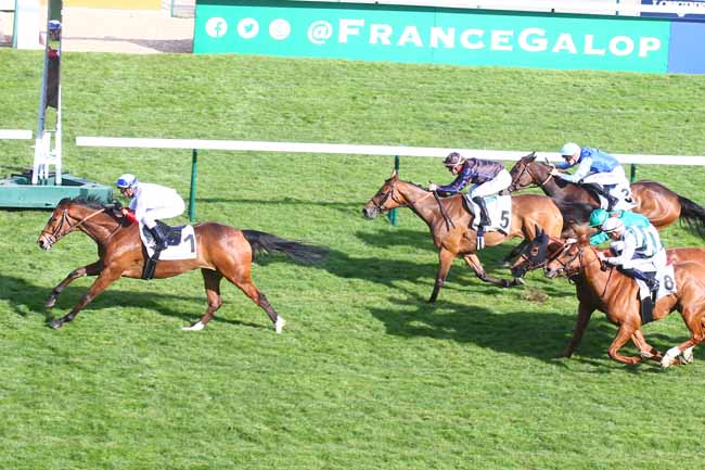 Photo d'arrivée de la course pmu PRIX ZARKAVA - FONDS EUROPEEN DE L'ELEVAGE à LONGCHAMP le Dimanche 10 avril 2022