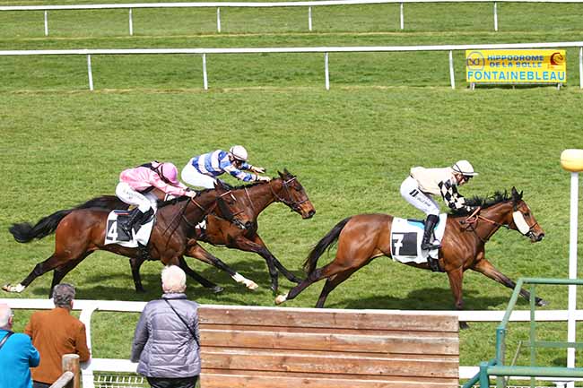 Photo d'arrivée de la course pmu PRIX DES ALISIERS à FONTAINEBLEAU le Mardi 12 avril 2022