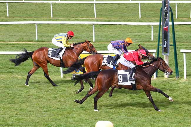 Photo d'arrivée de la course pmu PRIX DES BOULEAUX à FONTAINEBLEAU le Mardi 12 avril 2022