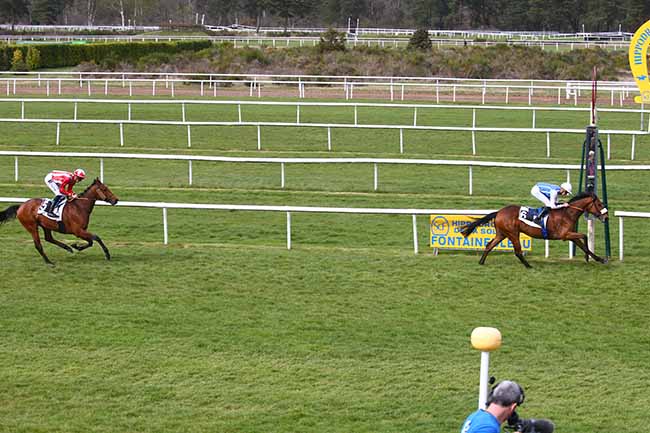 Photo d'arrivée de la course pmu PRIX GUY THIBAULT à FONTAINEBLEAU le Mardi 12 avril 2022