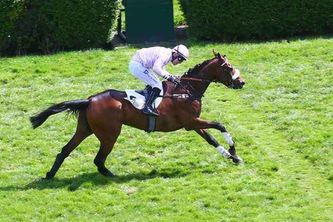 Photo d'arrivée de la course pmu PRIX ALEC CARTER à AUTEUIL le Jeudi 14 avril 2022