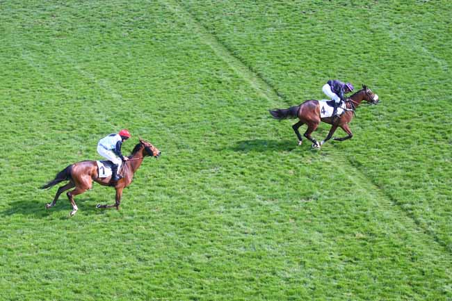 Photo d'arrivée de la course pmu PRIX PHILIPPE MENAGER à AUTEUIL le Jeudi 14 avril 2022