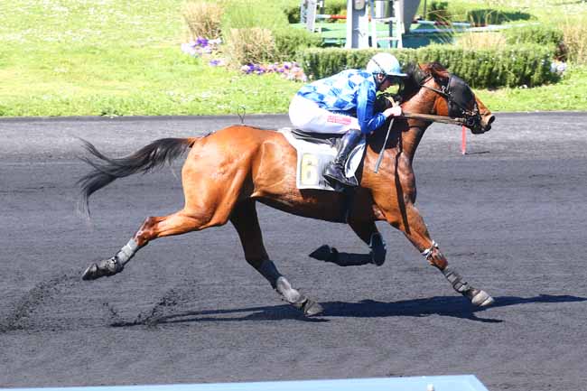 Photo d'arrivée de la course pmu PRIX HEMINE à PARIS-VINCENNES le Samedi 16 avril 2022