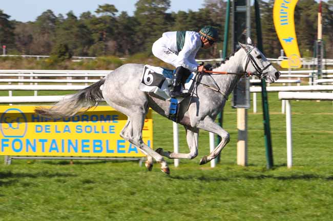 Photo d'arrivée de la course pmu PRIX DU BOIS DE LA COMMANDERIE à FONTAINEBLEAU le Samedi 16 avril 2022