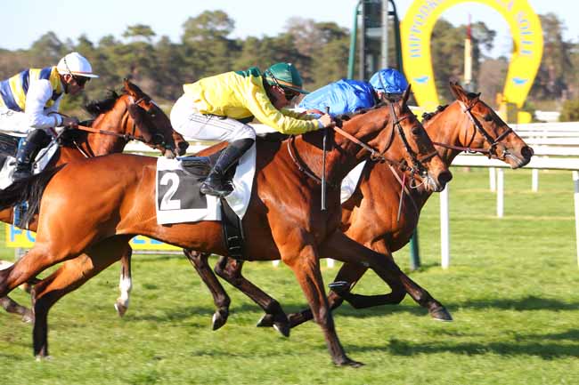 Photo d'arrivée de la course pmu PRIX EUGENIE DE MONTIJO à FONTAINEBLEAU le Samedi 16 avril 2022