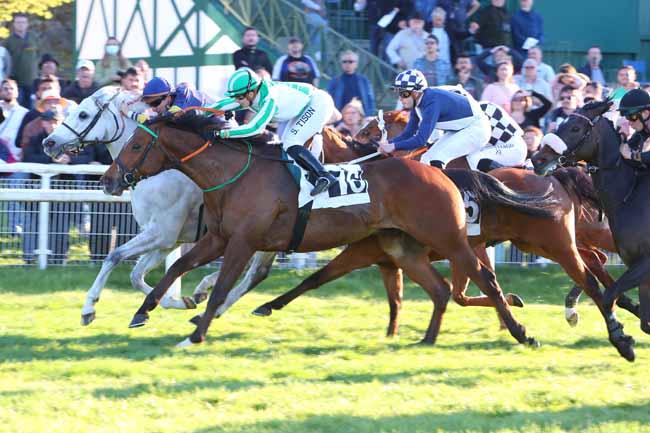 Photo d'arrivée de la course pmu PRIX DU BARON DE LA ROCHETTTE à FONTAINEBLEAU le Samedi 16 avril 2022