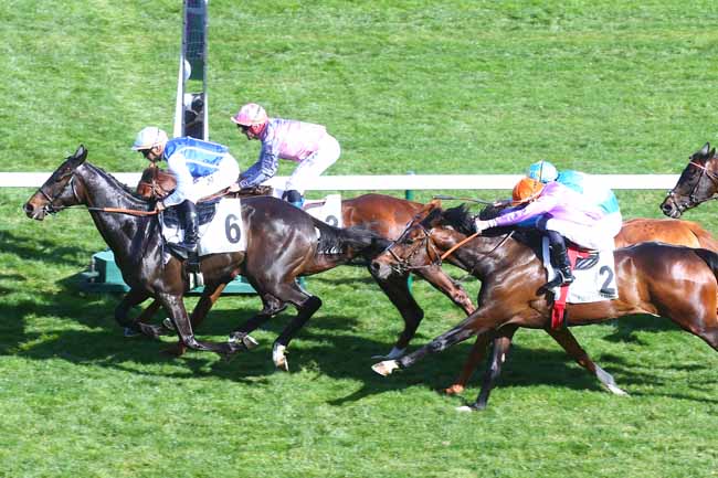Photo d'arrivée de la course pmu PRIX NOAILLES à LONGCHAMP le Dimanche 17 avril 2022