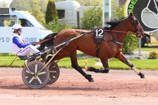 Photo d'arrivée de la course pmu PRIX VILLE DE SAINT-ETIENNE-DE-MONTLUC à CORDEMAIS le Mercredi 20 avril 2022