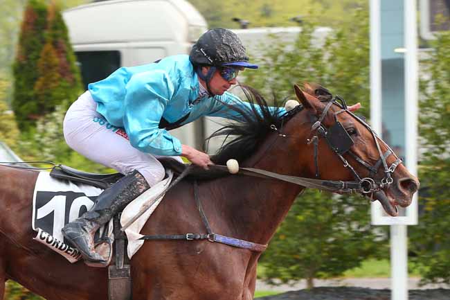 Photo d'arrivée de la course pmu PRIX DE LA VILLE DE PRINQUIAU à CORDEMAIS le Mercredi 20 avril 2022