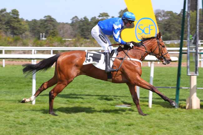 Photo d'arrivée de la course pmu PRIX DE LA TOUR DENECOURT à FONTAINEBLEAU le Mercredi 20 avril 2022