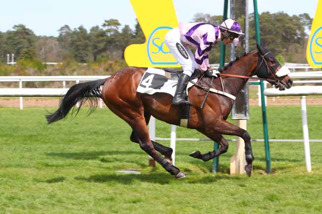 Photo d'arrivée de la course pmu PRIX DE LA MARE A PIAT à FONTAINEBLEAU le Mercredi 20 avril 2022