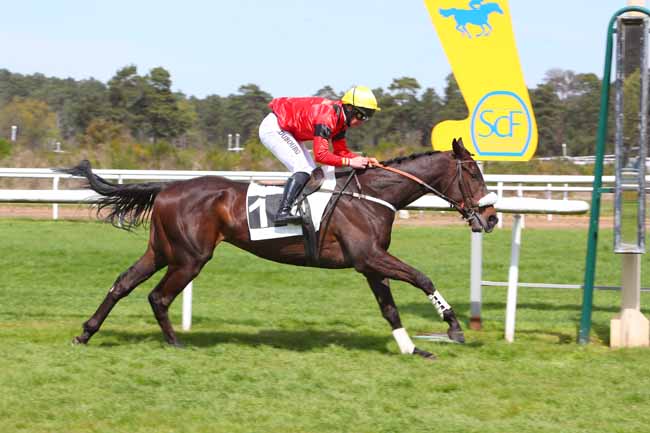 Photo d'arrivée de la course pmu PRIX DE LA SOCIETE DES COURSES DE MOULINS à FONTAINEBLEAU le Mercredi 20 avril 2022