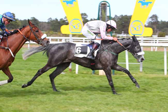 Photo d'arrivée de la course pmu PRIX DU REGIMENT DE CAVALERIE DE LA GARDE REPUBLICAINE à FONTAINEBLEAU le Mercredi 20 avril 2022
