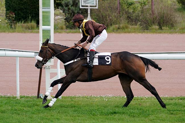 Photo d'arrivée de la course pmu PRIX DE L'UNION BORDEAUX BEGLES (PRIX MON ROMAIN) à BORDEAUX-LE BOUSCAT le Lundi 25 avril 2022
