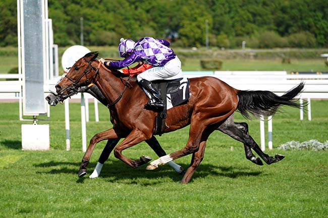 Photo d'arrivée de la course pmu PRIX DE LA VILLE DU BOUSCAT à BORDEAUX-LE BOUSCAT le Lundi 25 avril 2022