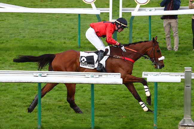Photo d'arrivée de la course pmu PRIX TERI AC à COMPIEGNE le Mardi 26 avril 2022