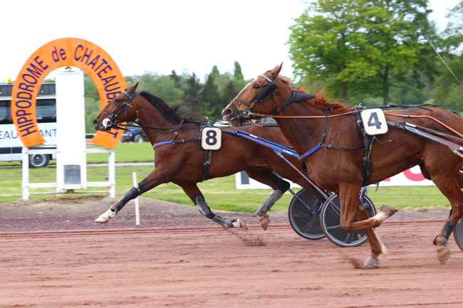 Photo d'arrivée de la course pmu PRIX DU PMU LE YEARLING à CHATEAUBRIANT le Mercredi 27 avril 2022