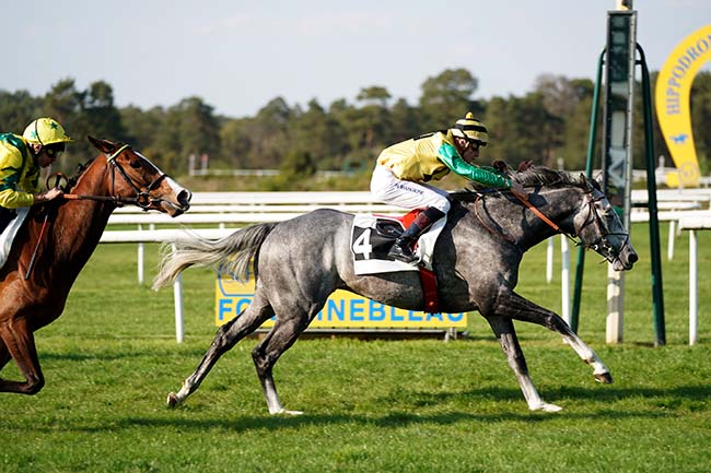 Photo d'arrivée de la course pmu PRIX DE L'ASSOCIATION DES MAITRES ET SOUS-MAITRES DU REGIMENT DE CAVALERIE à FONTAINEBLEAU le Mercredi 27 avril 2022