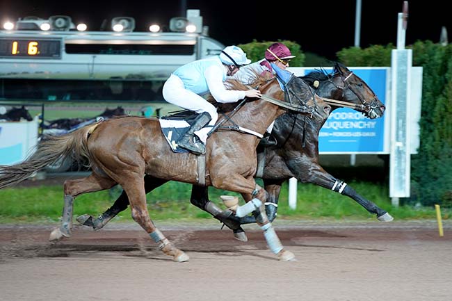 Photo d'arrivée de la course pmu ETRIER 4 ANS - QUALIF 1 - PRIX RENE PALYAR à MAUQUENCHY le Vendredi 29 avril 2022