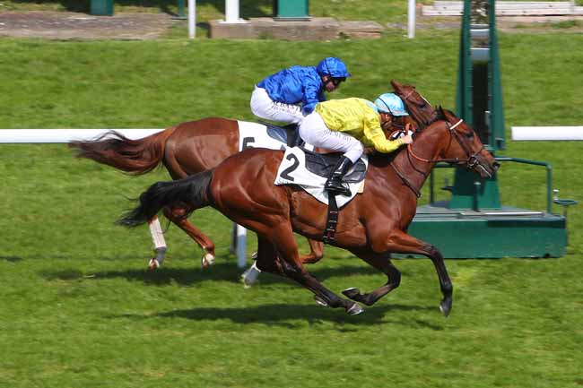 Photo d'arrivée de la course pmu PRIX KASHMIR II à SAINT CLOUD le Vendredi 29 avril 2022