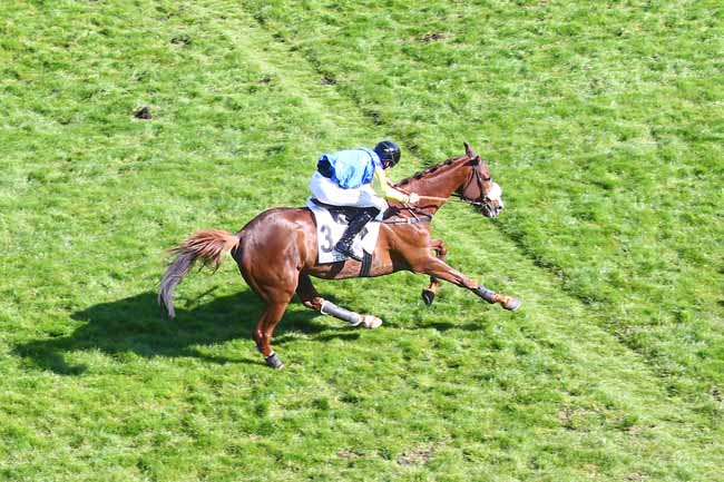 Photo d'arrivée de la course pmu PRIX ROGER DUCHENE - GRAND PRIX DES JEUNES JOCKEYS à AUTEUIL le Samedi 30 avril 2022