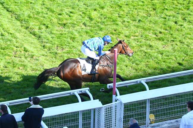 Photo d'arrivée de la course pmu PRIX LEON RAMBAUD à AUTEUIL le Samedi 30 avril 2022
