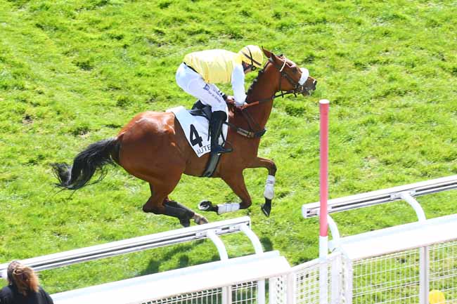 Photo d'arrivée de la course pmu PRIX GIROFLA à AUTEUIL - MIDI le Samedi 30 avril 2022