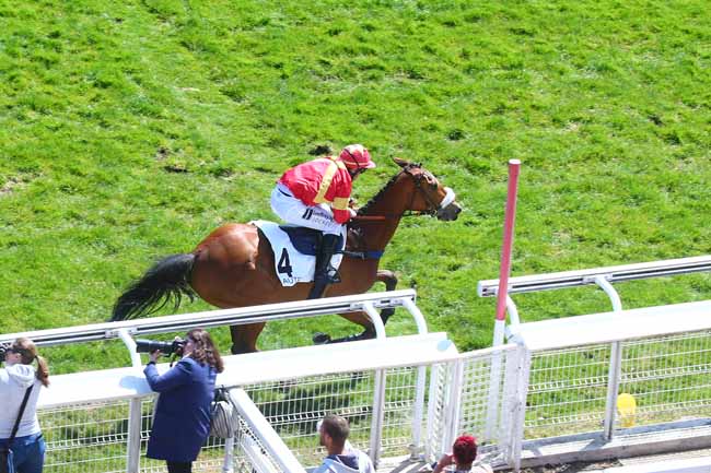 Photo d'arrivée de la course pmu PRIX WILD MONARCH (POULICHES) à AUTEUIL - MIDI le Samedi 30 avril 2022