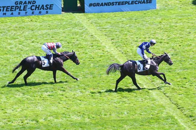 Photo d'arrivée de la course pmu PRIX JEAN STERN à AUTEUIL - MIDI le Samedi 30 avril 2022
