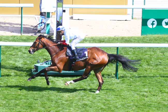 Photo d'arrivée de la course pmu PRIX ALLEZ FRANCE LONGINES à LONGCHAMP le Dimanche 1 mai 2022