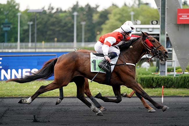 Photo d'arrivée de la course pmu PRIX HENRI CHRETIEN à PARIS-VINCENNES le Mardi 3 mai 2022